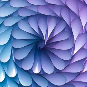 Meet your Posher, Shalis